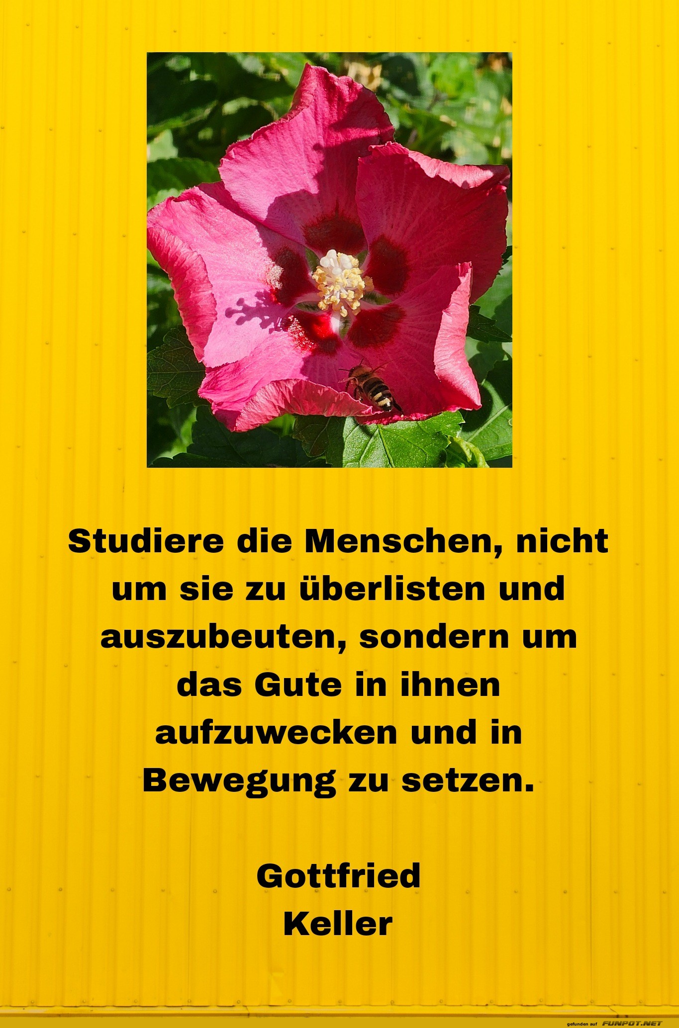 Studiere die Menschen