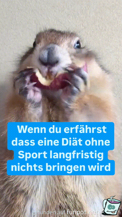 Da ist jetzt blöd Da ist jetzt blöd