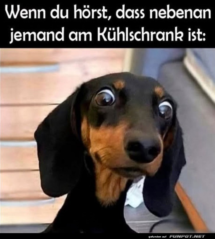witzige Bilder aus verschiedenen Blogs