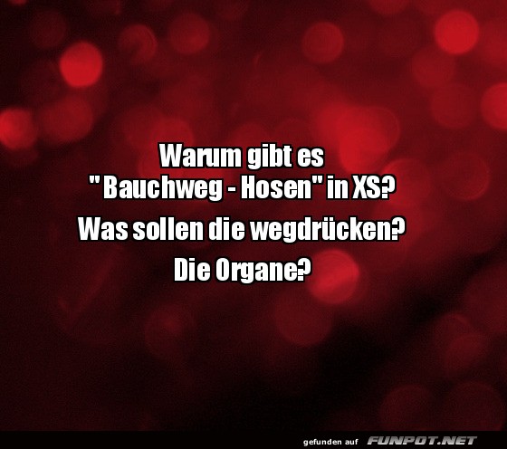 Humorvoller Kommentar zu Bauchweg-Hosen in XS Humorvoller Kommentar zu Bauchweg-Hosen in XS
