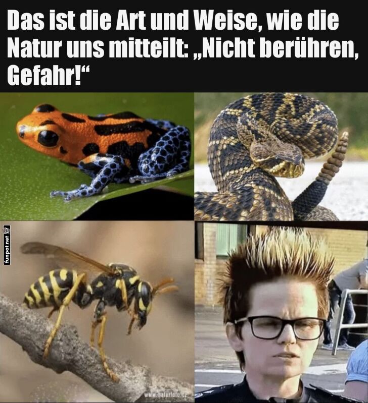 Warnung vor Gefahren in der Natur Warnung vor Gefahren in der Natur