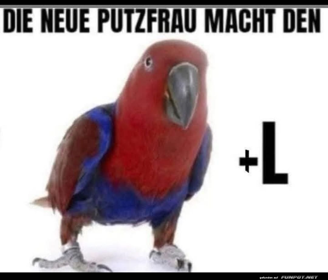 Lustiger Papagei-Witz Lustiger Papagei-Witz
