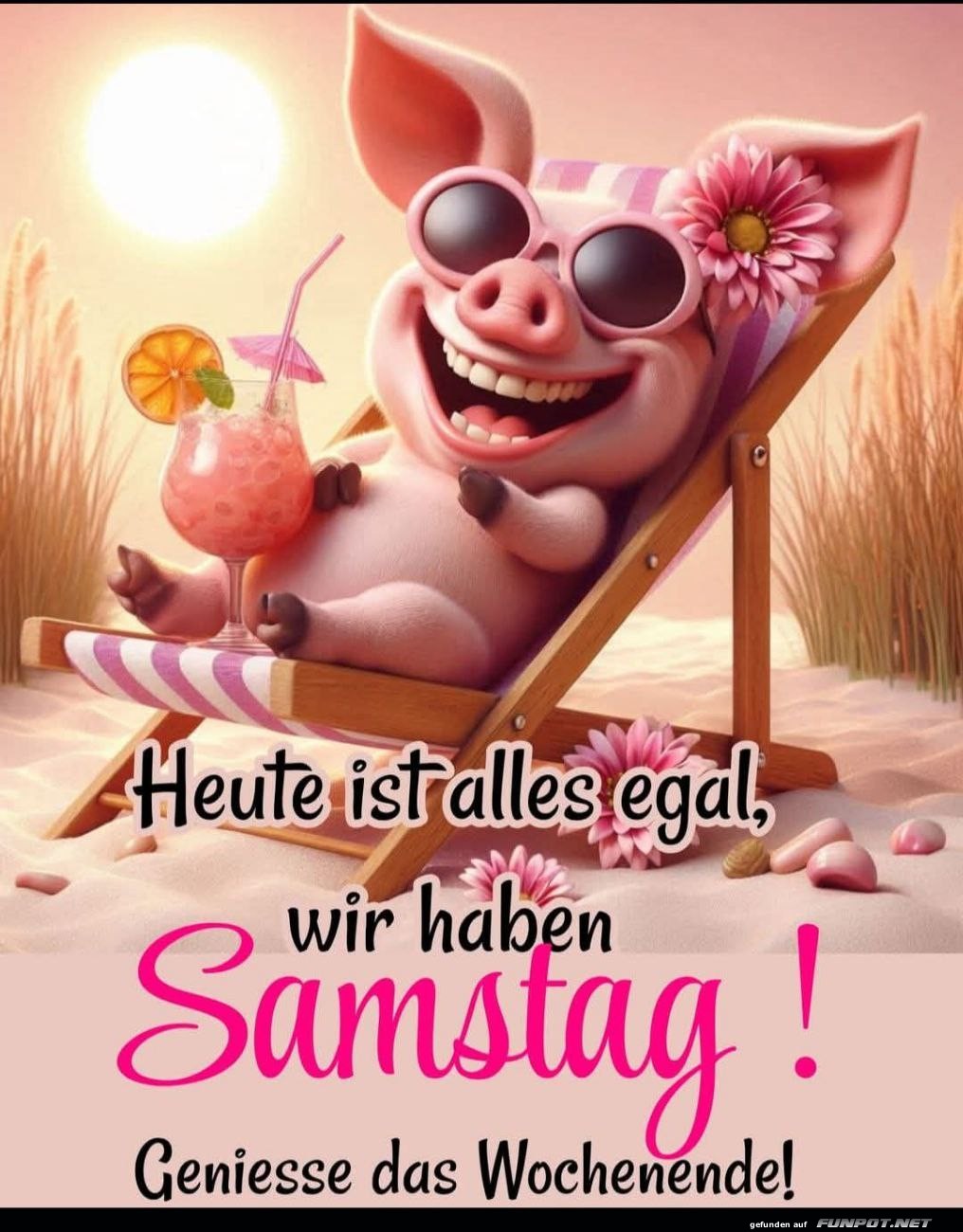 Entspanntes Schwein am Samstag Entspanntes Schwein am Samstag
