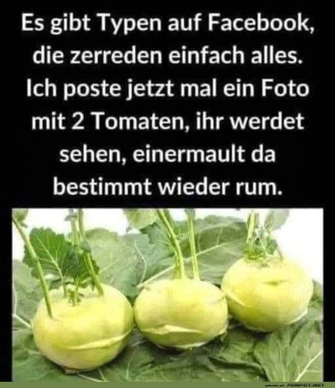 Humorvolle Bemerkung über Social Media Humorvolle Bemerkung über Social Media