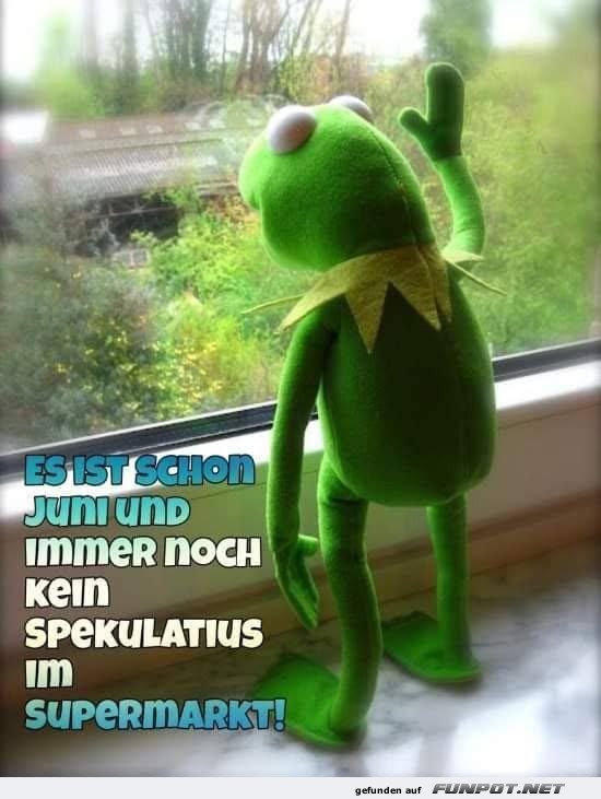 Kermit wartet auf Spekulatius im Juni Kermit wartet auf Spekulatius im Juni