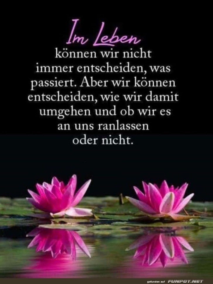 Weisheit über Lebensentscheidungen Weisheit über Lebensentscheidungen