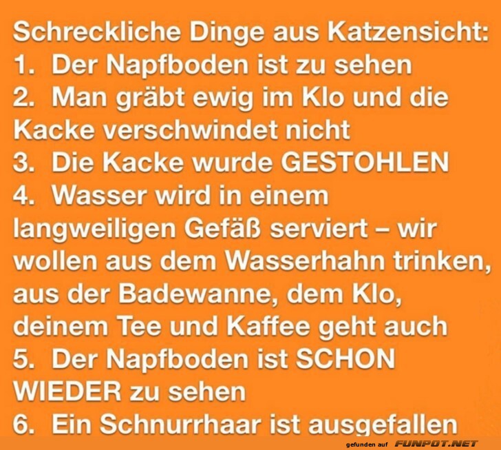 Katzenprobleme: Humorvoll und treffend Katzenprobleme: Humorvoll und treffend