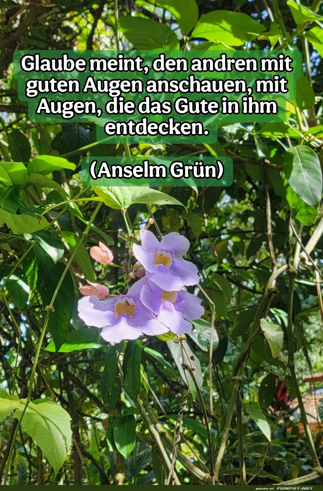 glaube meint, den andren mit glaube meint, den andren mit