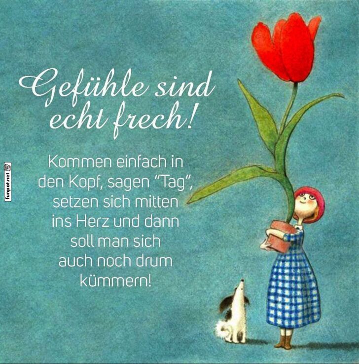 Gefühle sind echt frech Gefühle sind echt frech