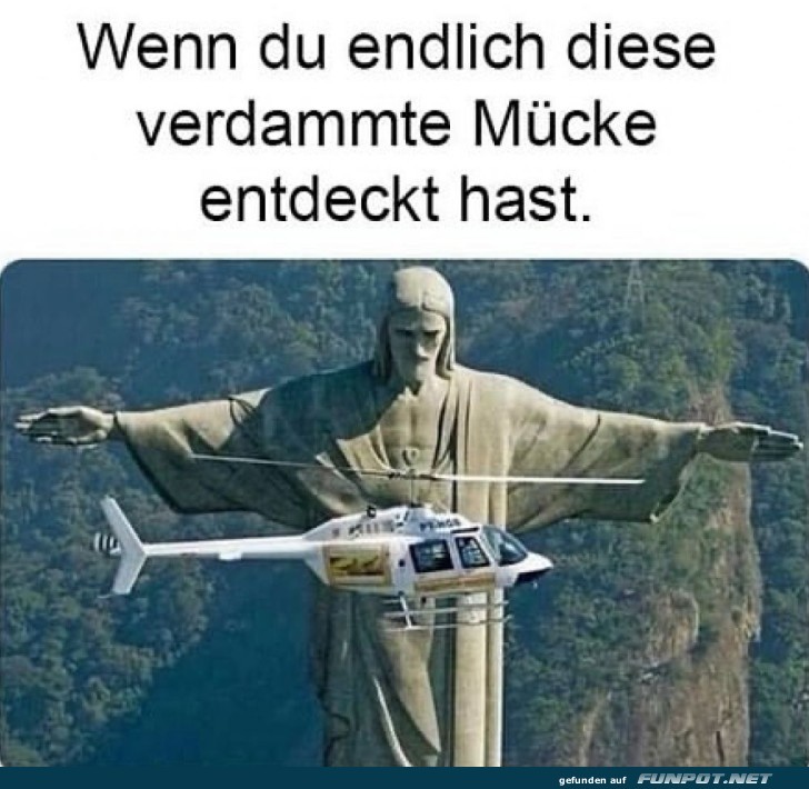 Mückenjagd humorvoll illustriert Mückenjagd humorvoll illustriert