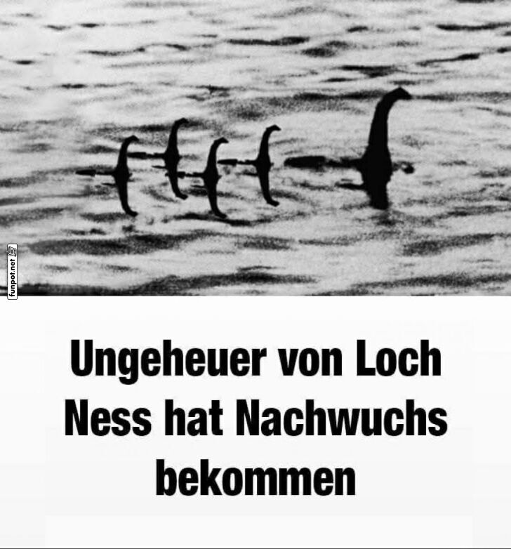 Loch Ness Monster mit Nachwuchs gesichtet Loch Ness Monster mit Nachwuchs gesichtet