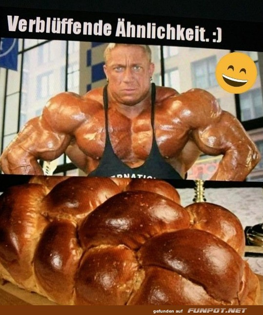 Verblüffende Ähnlichkeit: Bodybuilder und Zopf Verblüffende Ähnlichkeit: Bodybuilder und Zopf