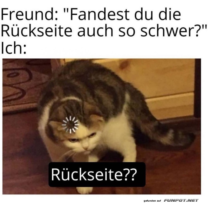 Lustiges Katzen-Meme über die Rückseite Lustiges Katzen-Meme über die Rückseite