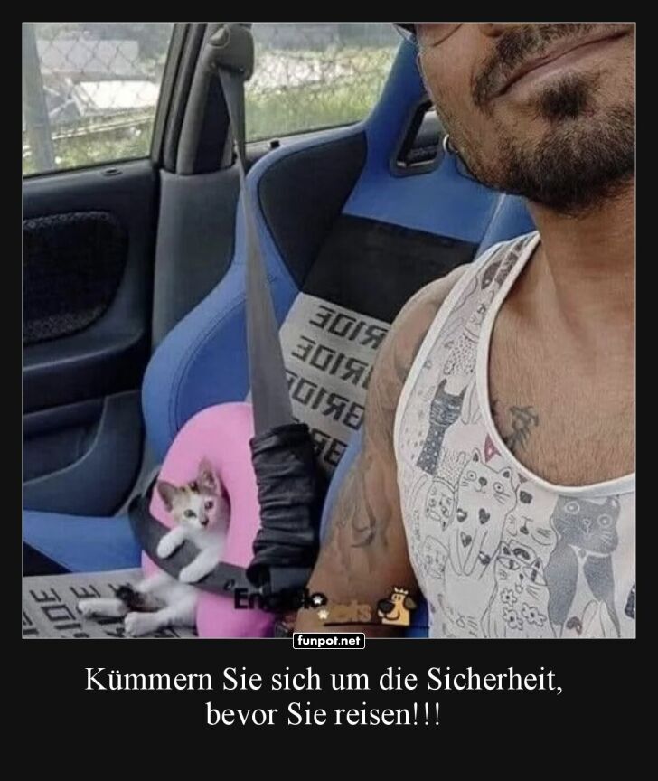 Sicherheitsbewusst mit Katze im Auto! Sicherheitsbewusst mit Katze im Auto!