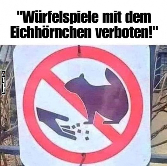 Spiele mit dem Eichhörnchen verboten Spiele mit dem Eichhörnchen verboten