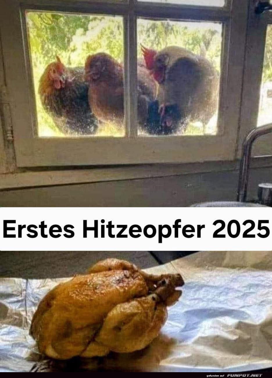 Erstes Hitzeopfer 2025 Erstes Hitzeopfer 2025