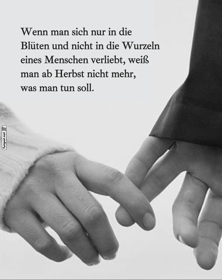 Nachdenkliches Zitat über Liebe und Wurzeln Nachdenkliches Zitat über Liebe und Wurzeln
