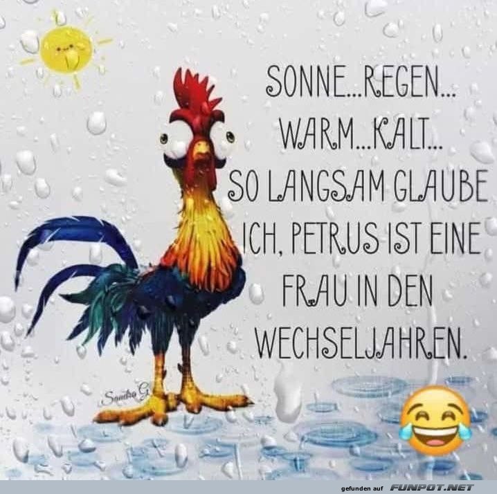 Wetterhumor mit einem lustigen Hahn Wetterhumor mit einem lustigen Hahn