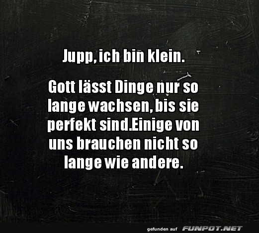 Kleine Dinge sind perfekt Kleine Dinge sind perfekt