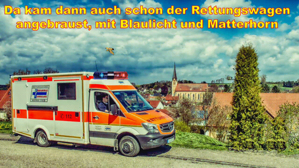 Der Rettungswagen Der Rettungswagen
