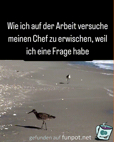 Der Chef ist nicht greifbar Der Chef ist nicht greifbar