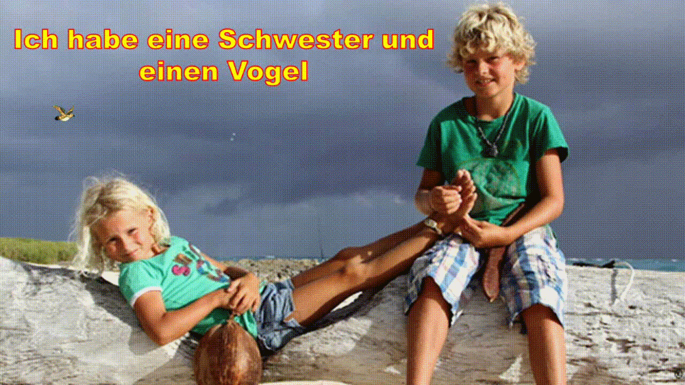 Hab einen Vogel Hab einen Vogel