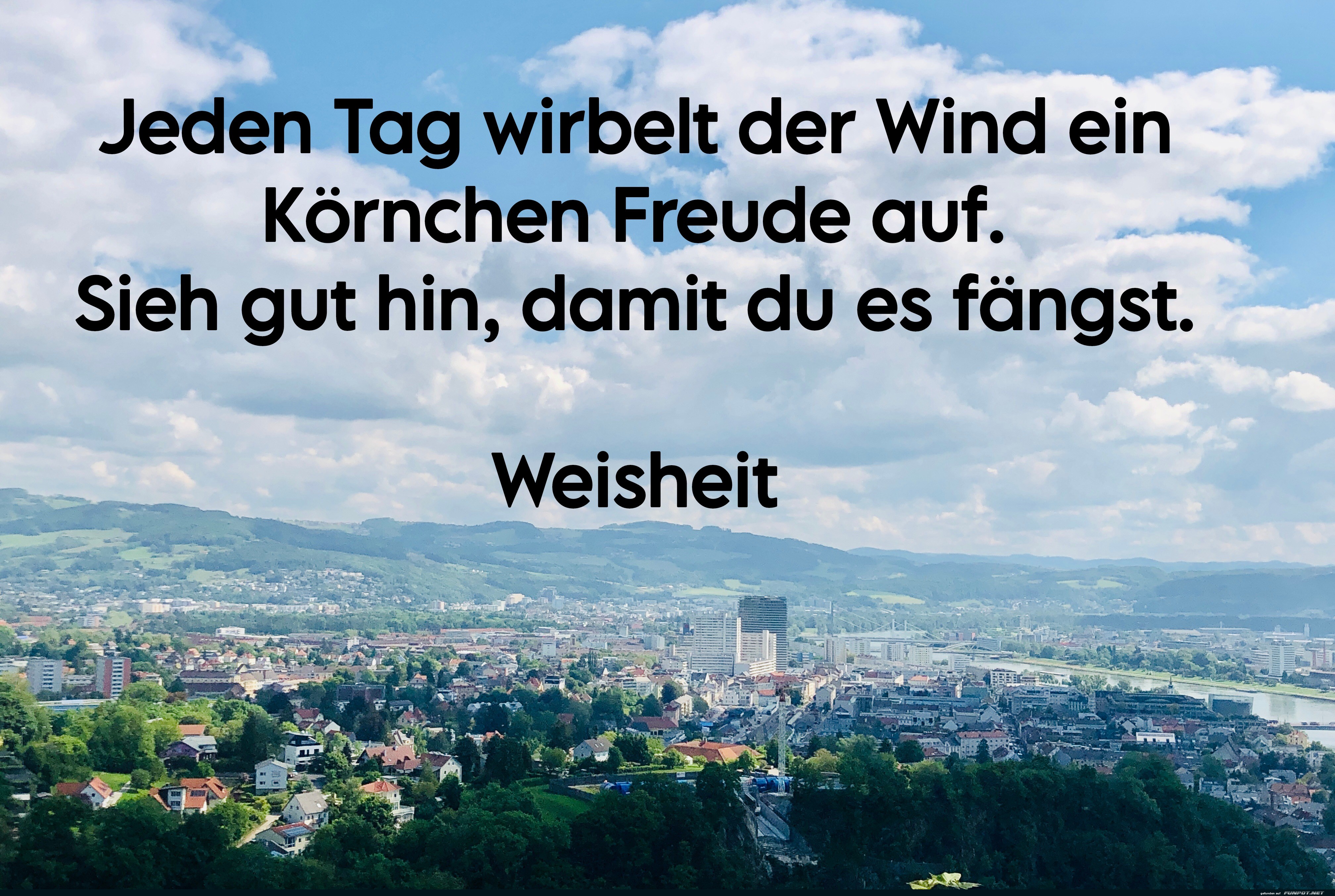 jeden tag wirbelt der wind jeden tag wirbelt der wind