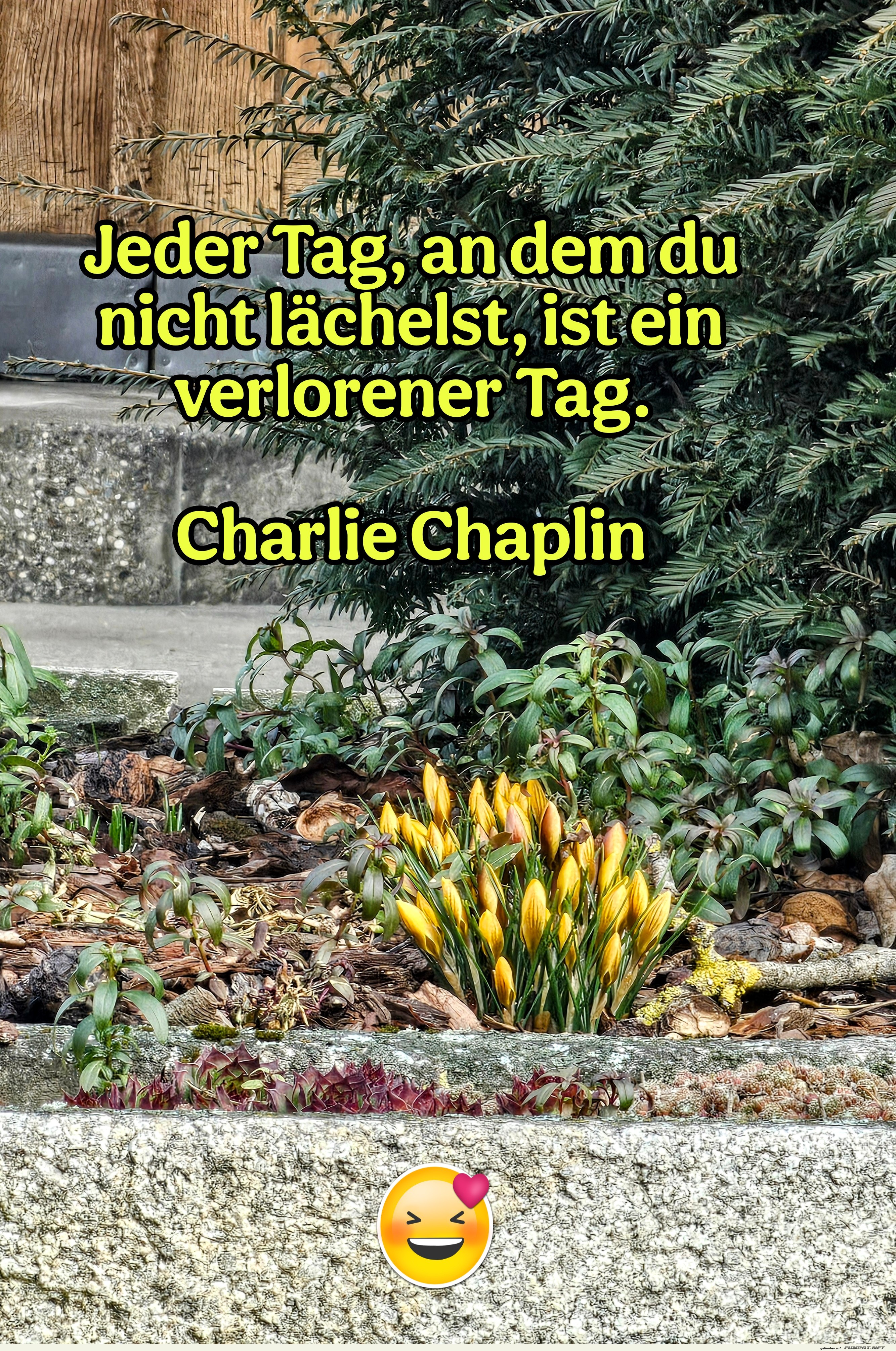 jeder tag, an dem du jeder tag, an dem du
