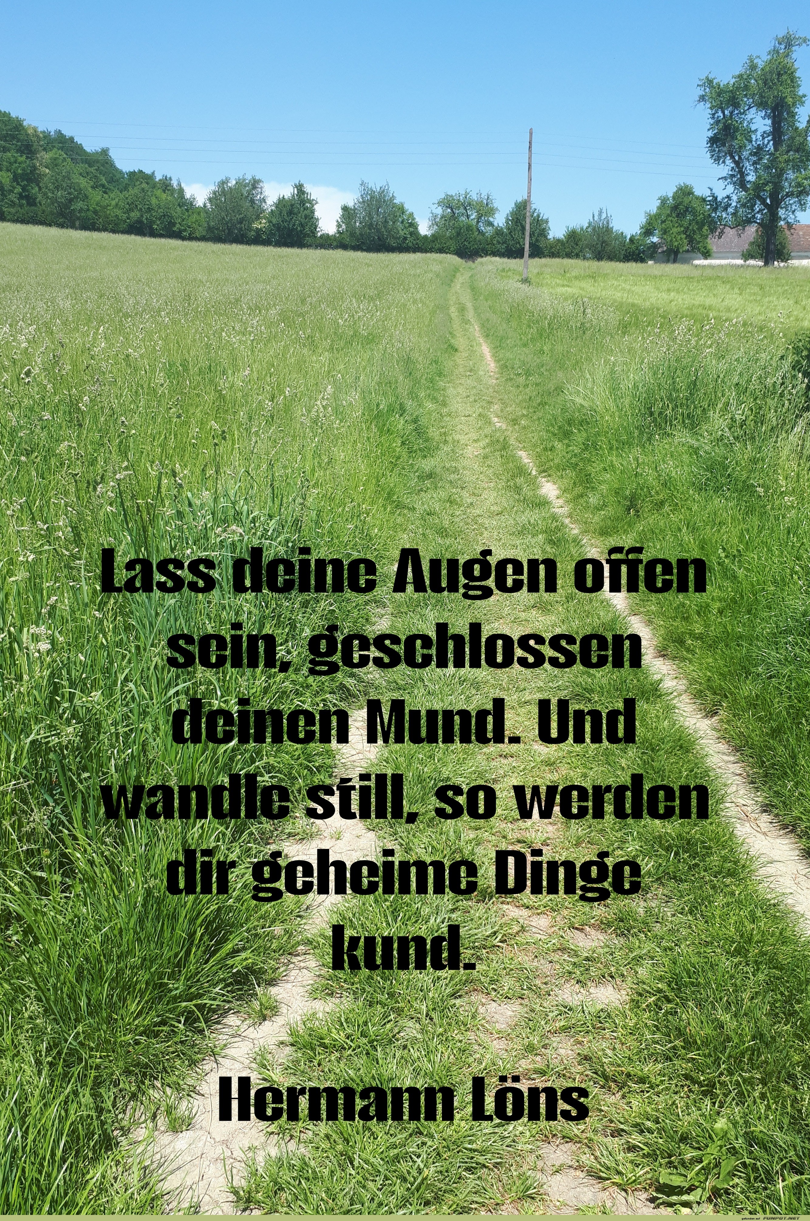 lass deine augen offen lass deine augen offen