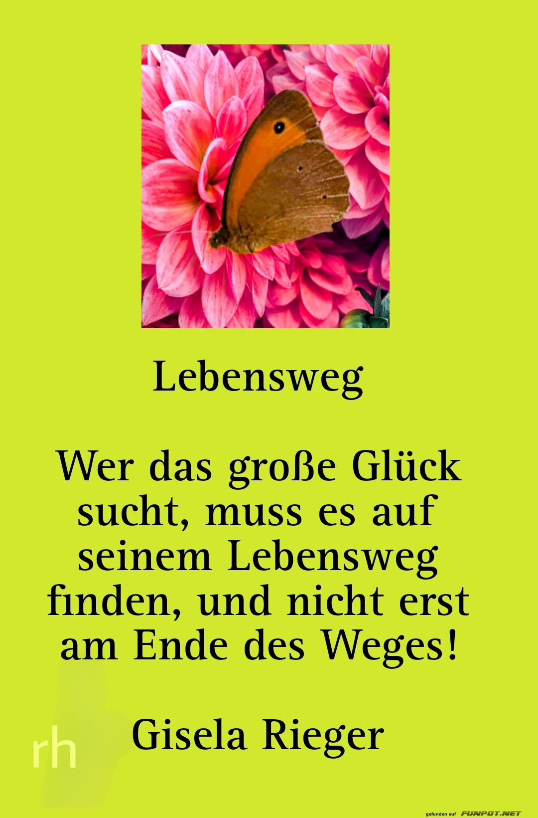 Lebensweg und das große Glück finden Lebensweg und das große Glück finden
