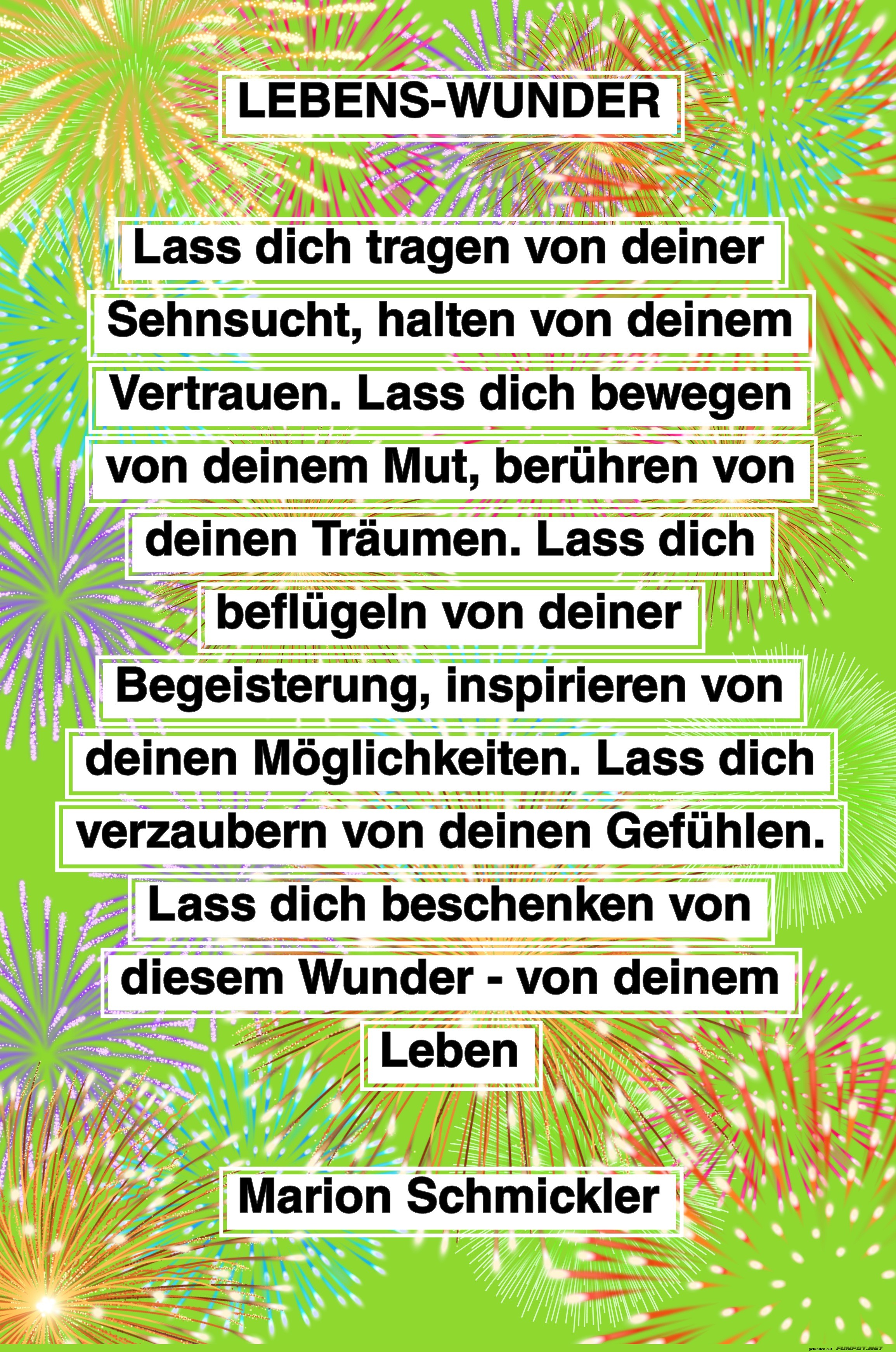 lebenswunder lebenswunder