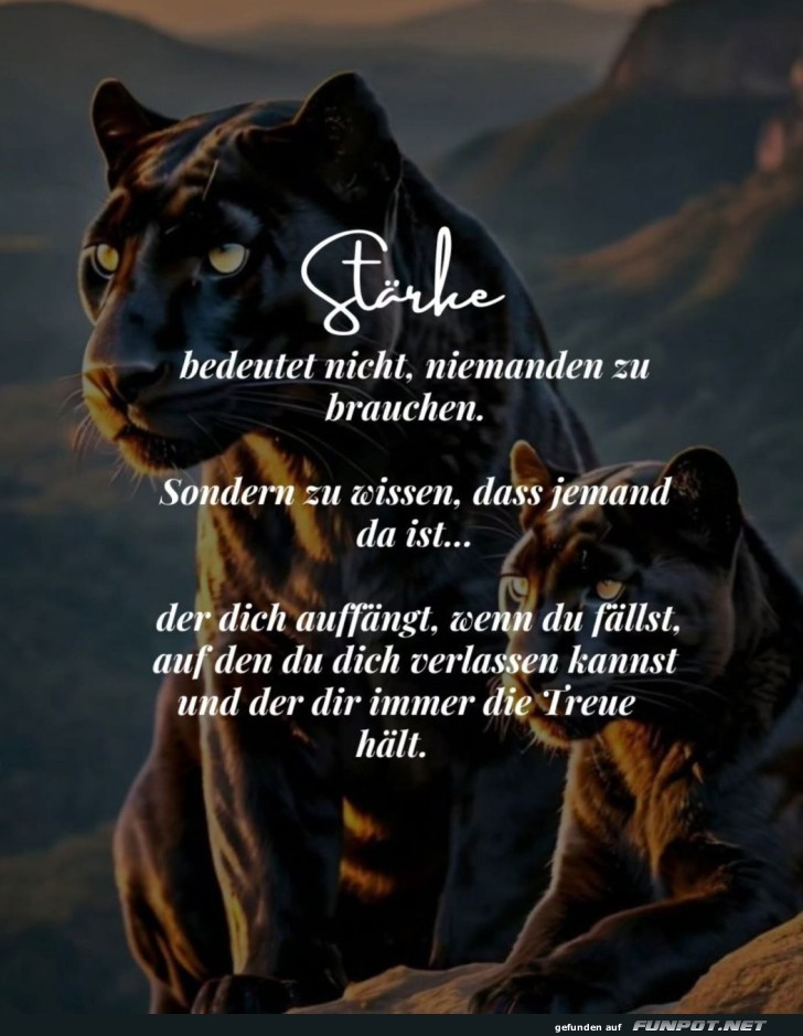 Stärke und Vertrauen Stärke und Vertrauen