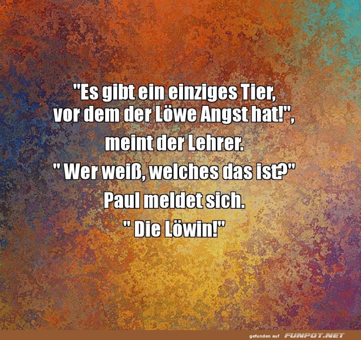 Witz über Löwen und Löwinnen Witz über Löwen und Löwinnen
