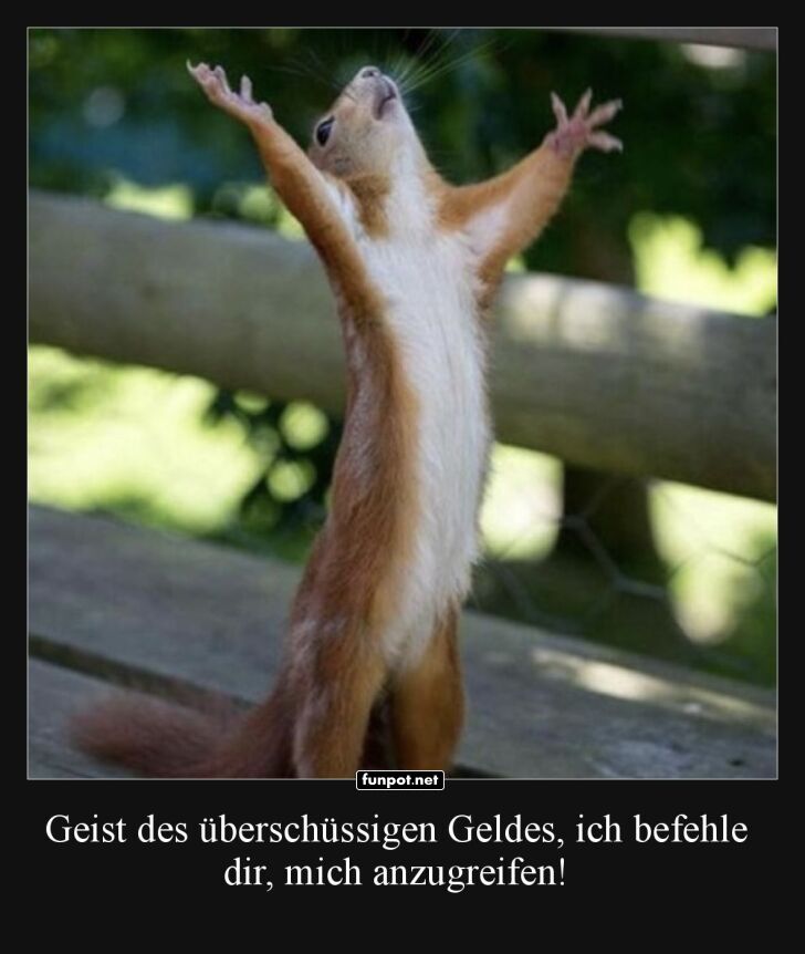 Eichhörnchen hebt die Arme in den Himmel Eichhörnchen hebt die Arme in den Himmel
