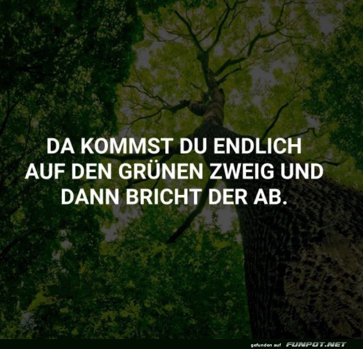 Natur und Lebensweisheit Natur und Lebensweisheit