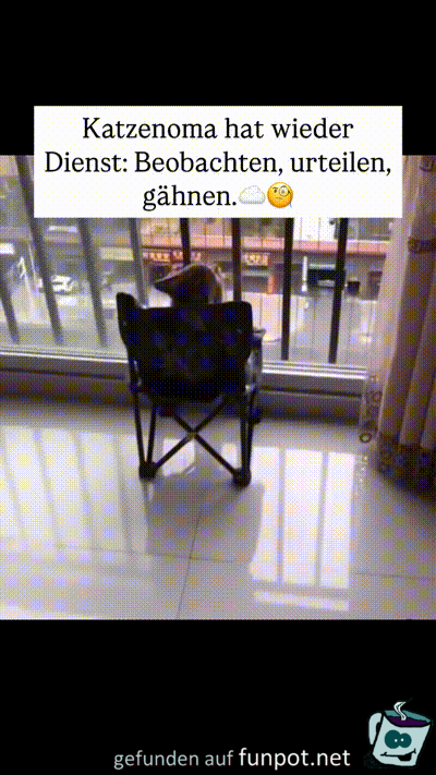 Katze im Dienst