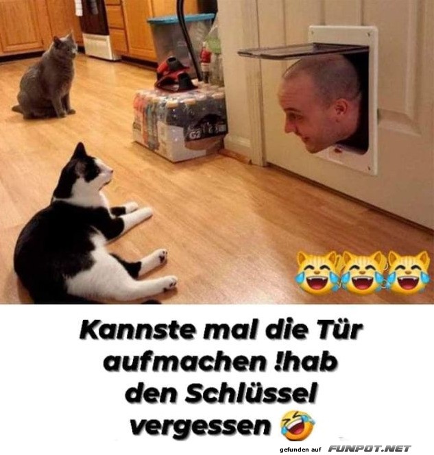 Mann bittet Katze um Türöffnung Mann bittet Katze um Türöffnung
