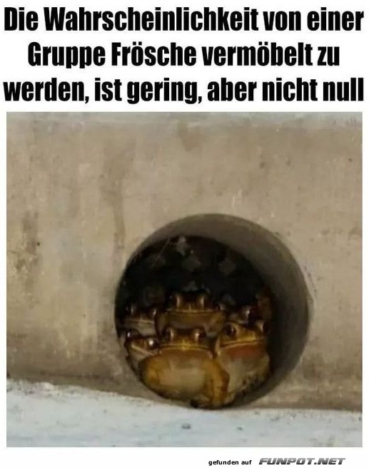 Frösche im Rohr: Gefährlicher als gedacht Frösche im Rohr: Gefährlicher als gedacht