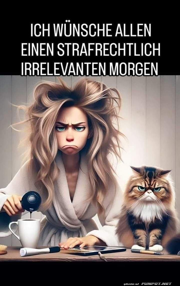 Morgenchaos mit Humor Morgenchaos mit Humor