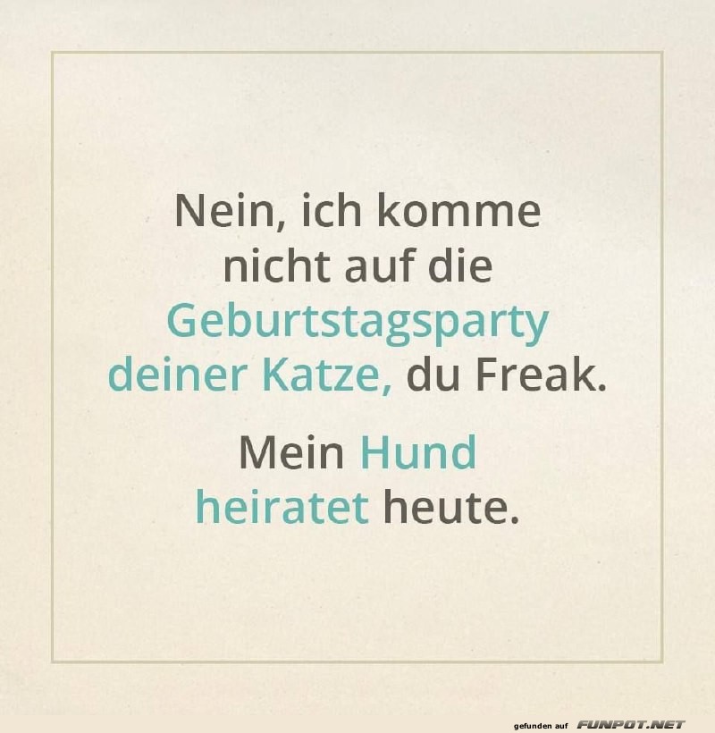 Tierische Feierlichkeiten mit Humor Tierische Feierlichkeiten mit Humor