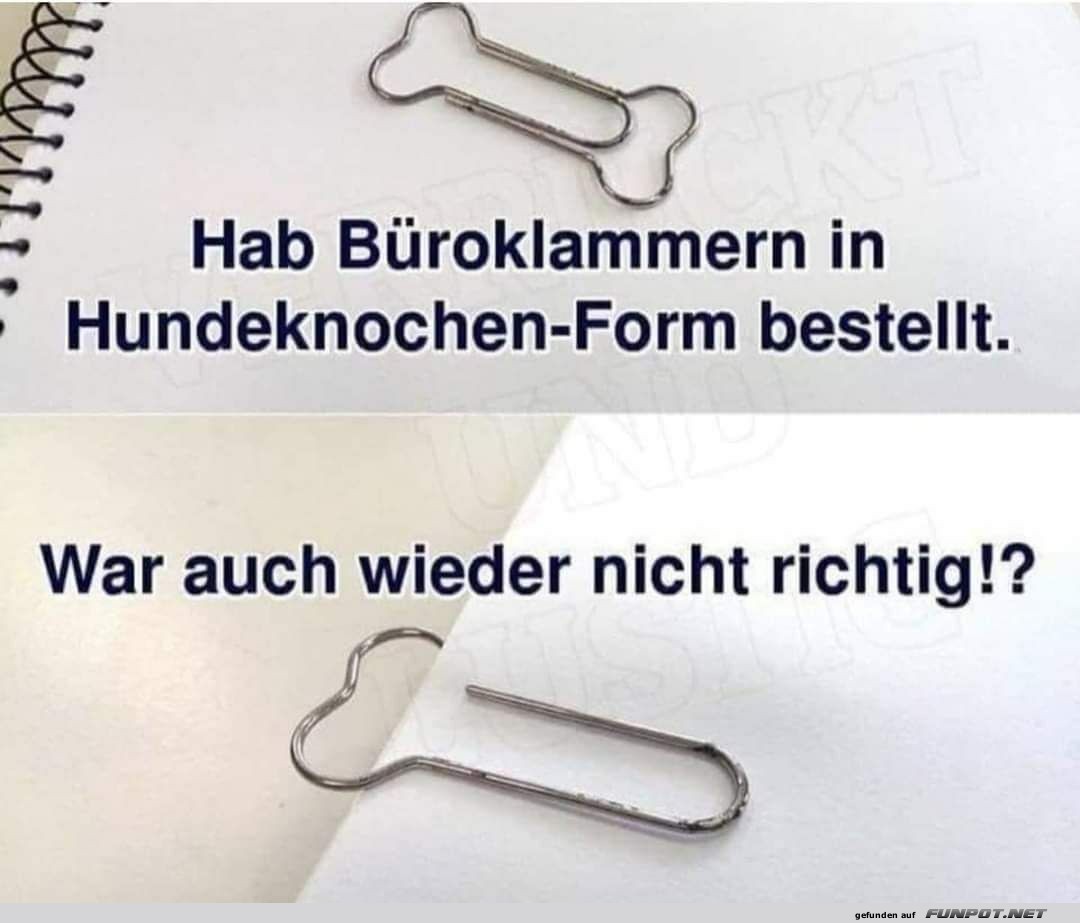 Büroklammern in Hundeknochen-Form Büroklammern in Hundeknochen-Form