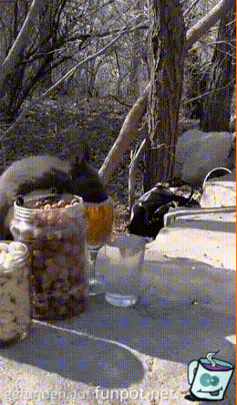 Das schmeckt Das schmeckt