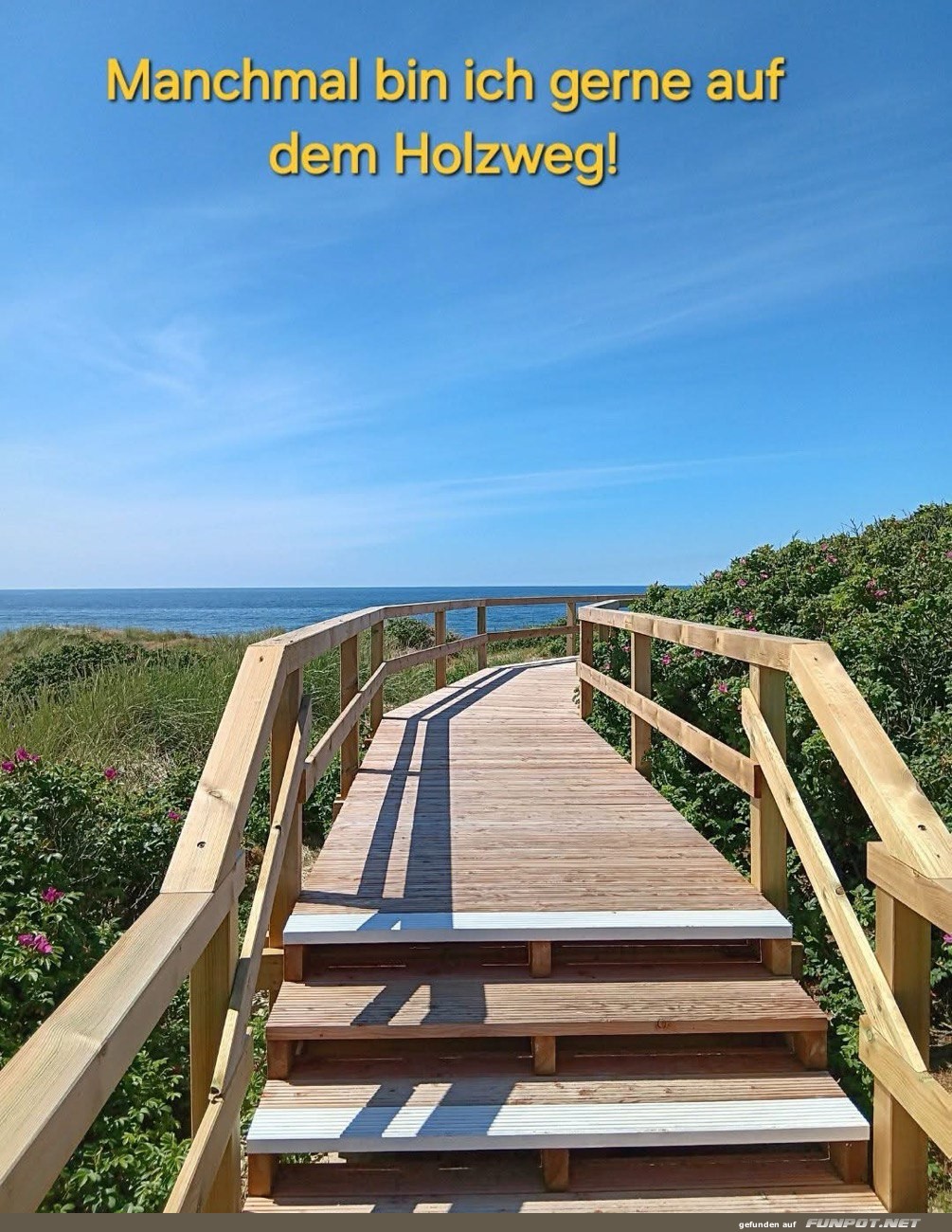 Bild eines Holzstegs am Strand Bild eines Holzstegs am Strand