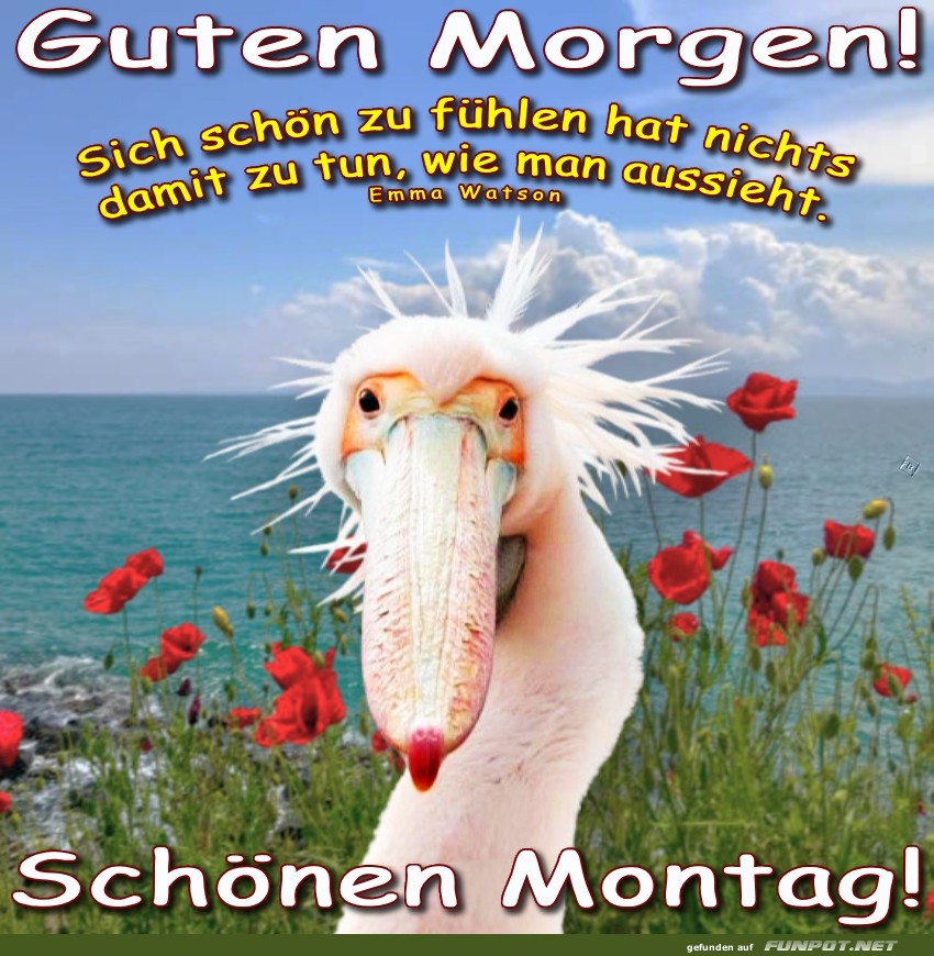 Fröhlicher Montag mit einem lustigen Vogel Fröhlicher Montag mit einem lustigen Vogel