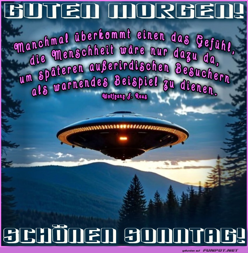 UFO über dem Wald bei Sonnenaufgang UFO über dem Wald bei Sonnenaufgang
