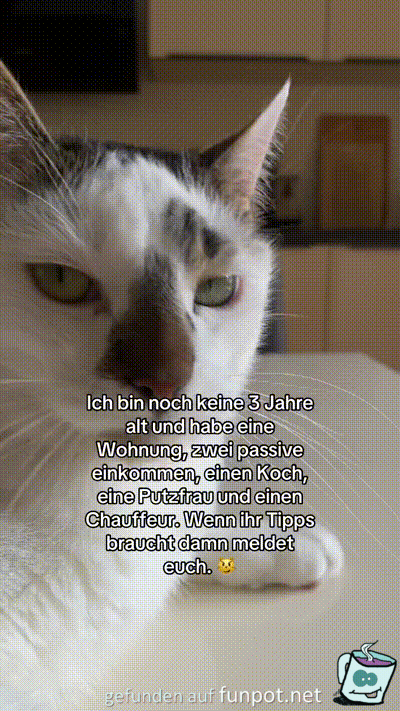 so lässt es sich leben so lässt es sich leben