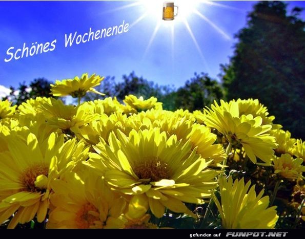 Schönes Wochenende Schönes Wochenende
