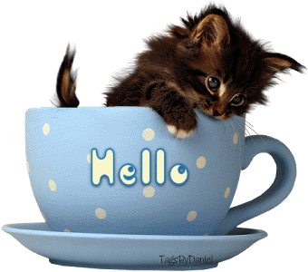 Hello Hello