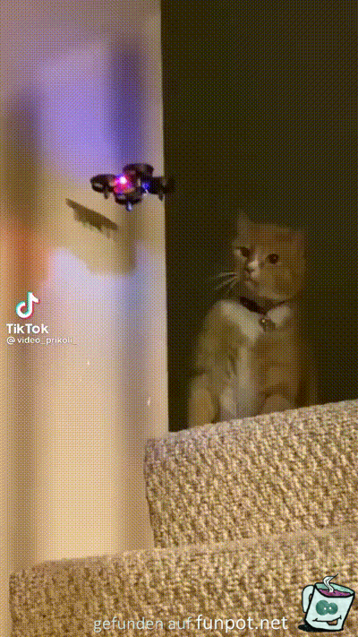 Weg mit dem Ding Weg mit dem Ding
