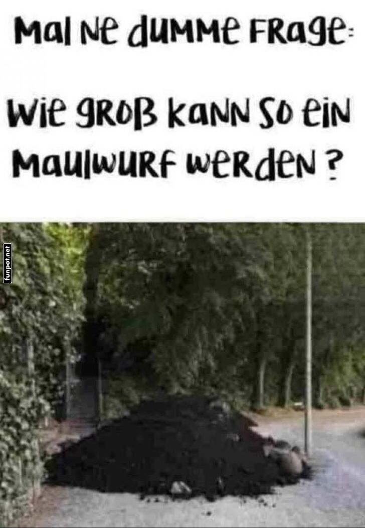 Großer Maulwurfhügel entdeckt Großer Maulwurfhügel entdeckt